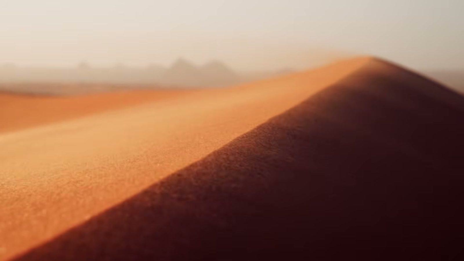 A dune ridge at golden hour, from the Dream of the Desert film